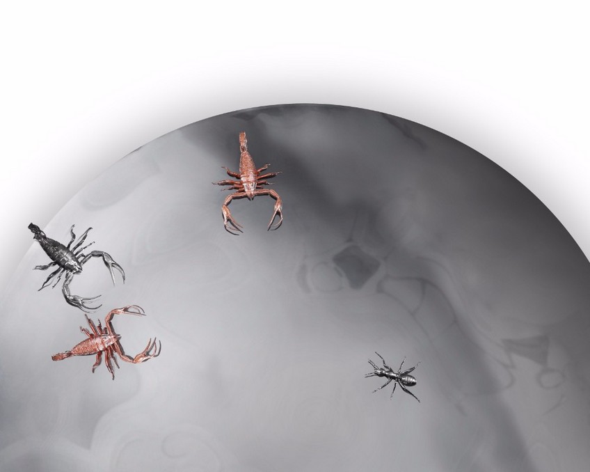 The Unconventionally Unique Wall Mirrors of the Metamorphosis Family 5